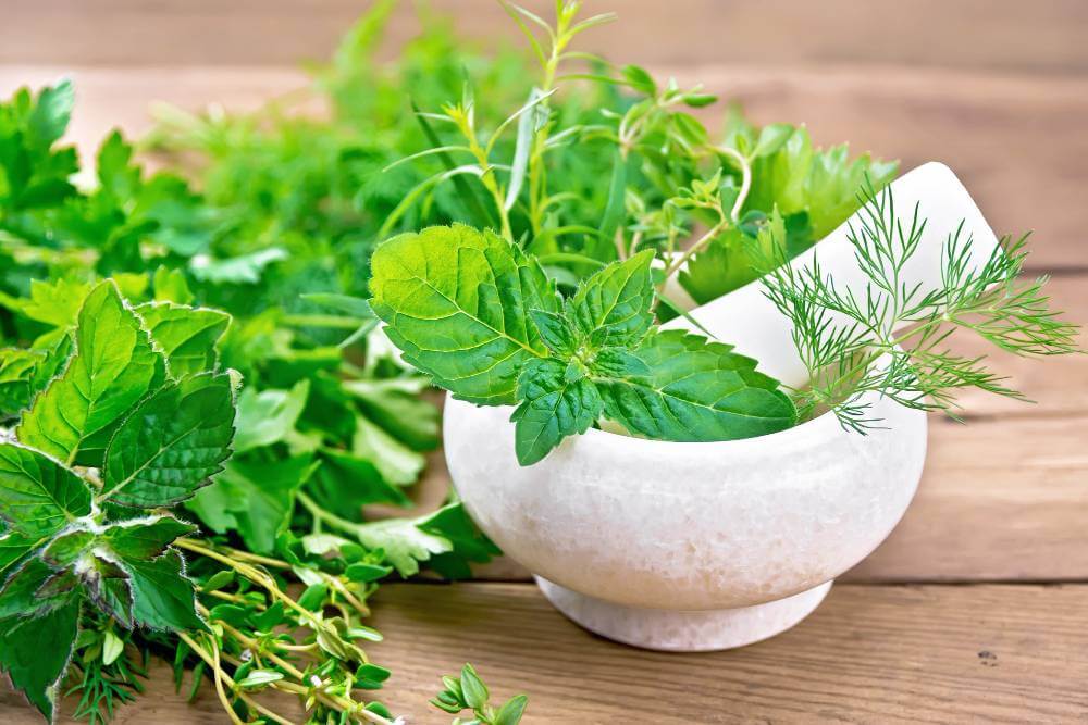 Herb leaves in a stone bowl