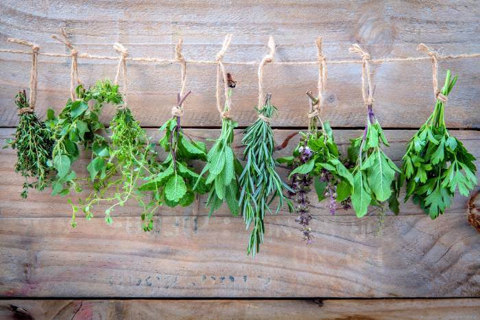 Herbs hang to dry