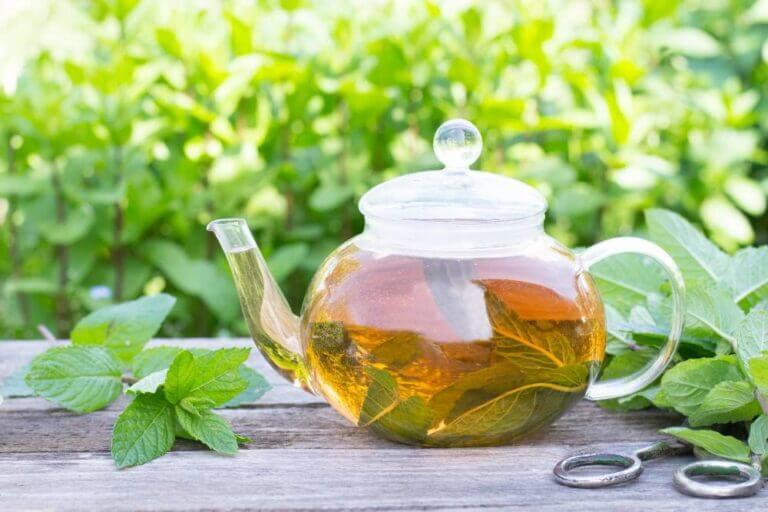 Mint tea in tea pot